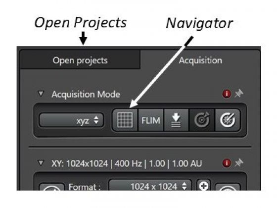 stellaris navigator and open project