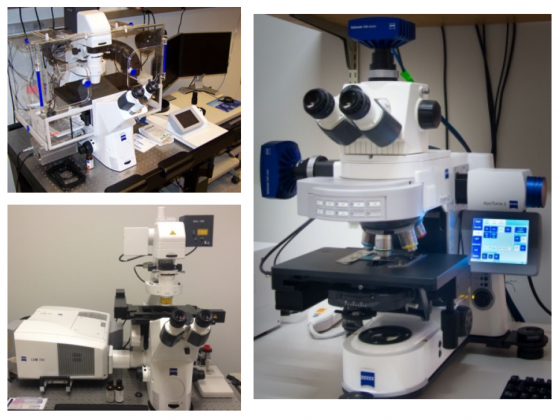 collage of microscopes