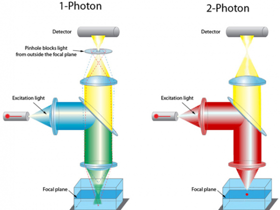 photon excitation microscope diagram