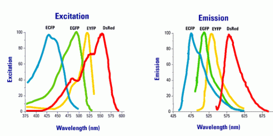 Excitation & Emission charts