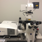 Zeiss 780 Inverted Confocal