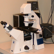 Zeiss Axio Observer Widefield Fluorescence Microscope