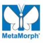 Metamorph logo